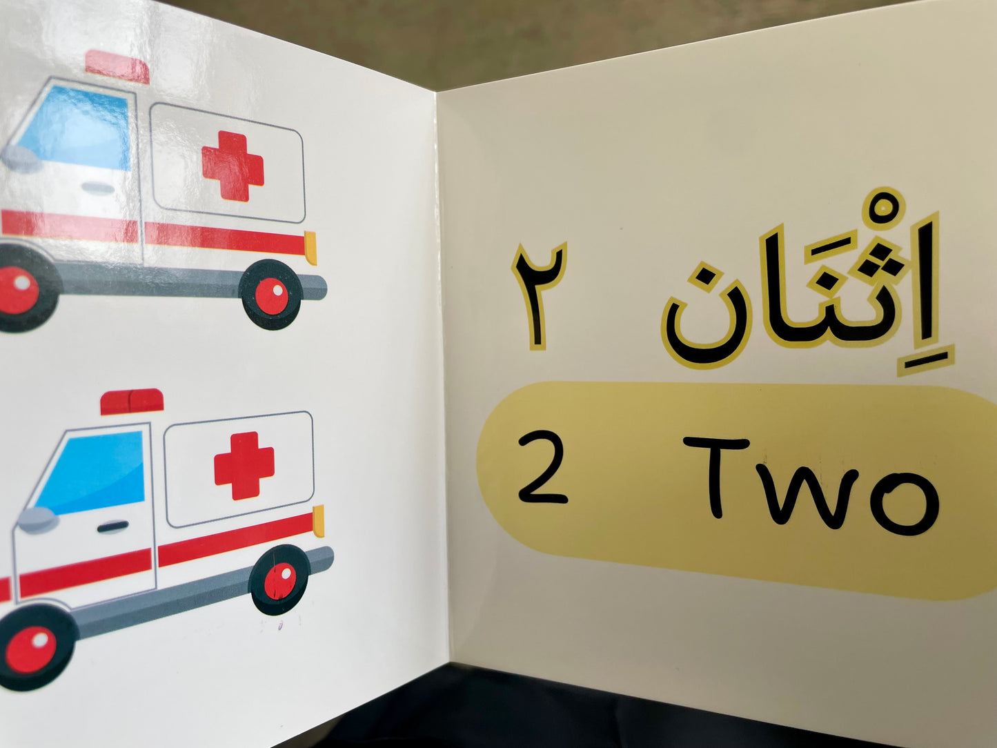 My First Book of Numbers